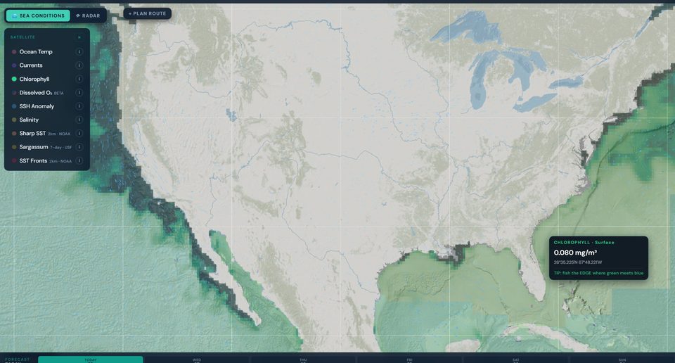 HELM Live Map showing chlorophyll concentration overlay — green-water-to-blue-water transitions where bait stacks